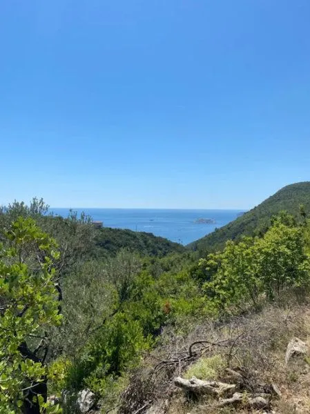 Prodaja, plac, 1200m², Herceg Novi, Crna Gora