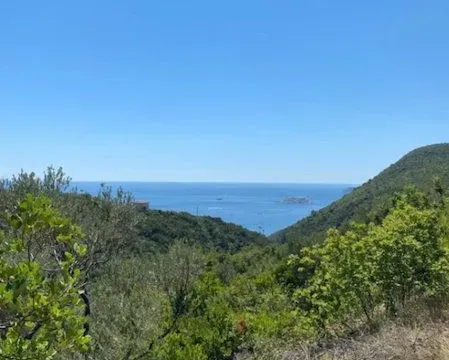 Prodaja, plac, 1200m², Herceg Novi, Crna Gora - image 3