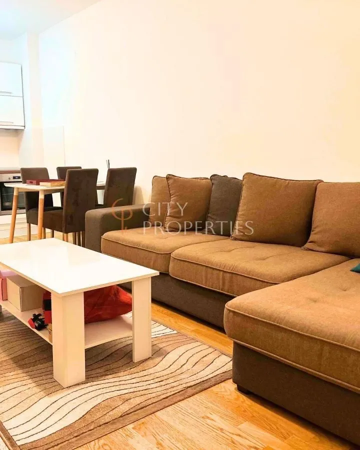 Izdavanje, stan, 45m², Stari Aerodrom, Podgorica