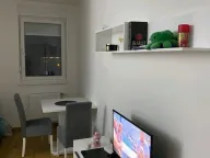 Izdavanje, jednosoban stan, 45m², Petrovaradin, Novi Sad - image 3