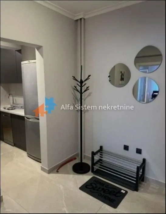 Izdavanje, dvosoban stan, 65m², Tašmajdan, Palilula Sve Podlokacije