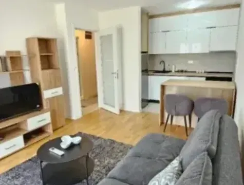 Izdavanje, jednosoban stan, 45m², Zabjelo, Podgorica - image 6