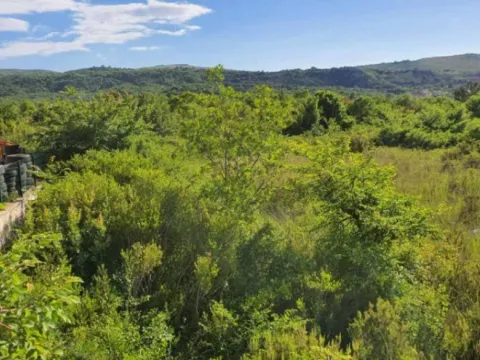 Prodaja, plac, 4255m², Radanovići, Kotor - image 4