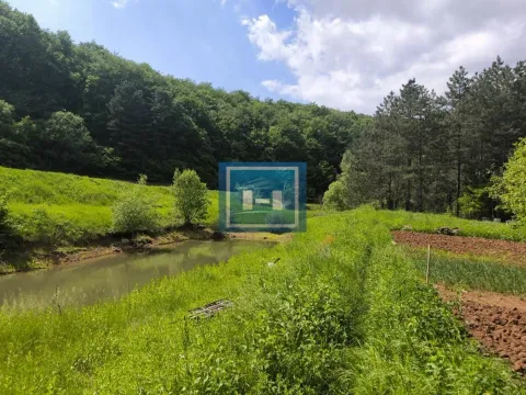 Sale, house, 300m², Senje, Ćuprija