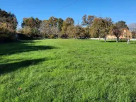 Prodaja, plac, 9300m², Danilovgrad, Crna Gora - image 9