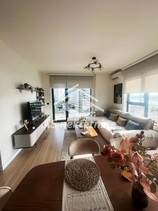 Izdavanje, trosoban stan, 80m², Savski Venac, Beograd
