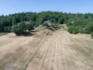 Prodaja, plac, 27188m², Nikšić, Crna Gora - image 5