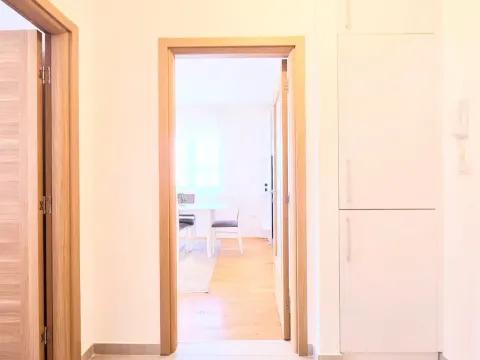 Izdavanje, jednosoban stan, 50m², Stari Aerodrom, Podgorica - image 3