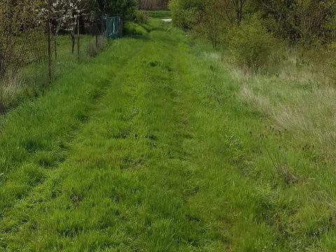 Prodaja, plac, 41100m², Gornji Grad Margita, Pančevo - image 7