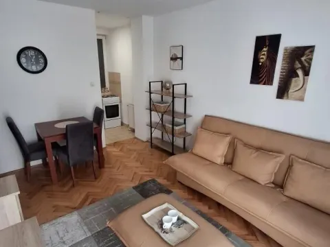 Izdavanje, dvosoban stan, 34m², Nova Detelinara, Novi Sad Sve Podlokacije - image 1