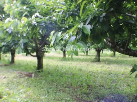 Prodaja, plac, 114m², Krčedin, Inđija - image 4