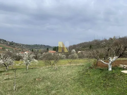 Prodaja, plac, 986m², Sremska Kamenica, Petrovaradin - image 3