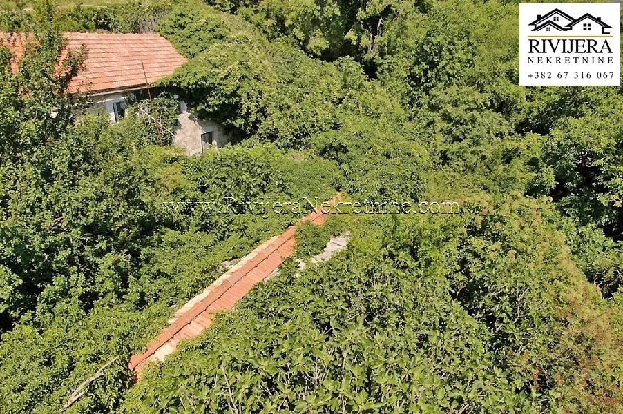 Prodaja, plac, 7294m², Mokrine, Herceg Novi