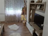 Izdavanje, dvosoban stan, 50m², Liman 4, Novi Sad Sve Podlokacije - image 2