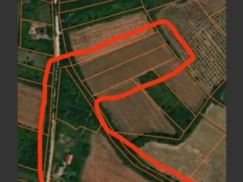 Prodaja, plac, 19500m², Koraćica, Mladenovac - image 4