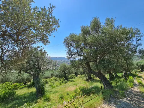 Sale, land lot, 10000m², Stari Bar, Bar - image 6