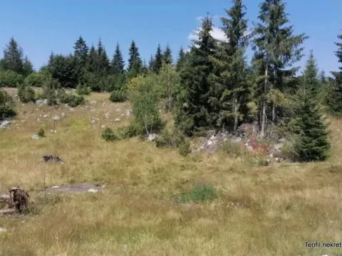 Prodaja, plac, 900m², Bajina Bašta, Srbija - image 7