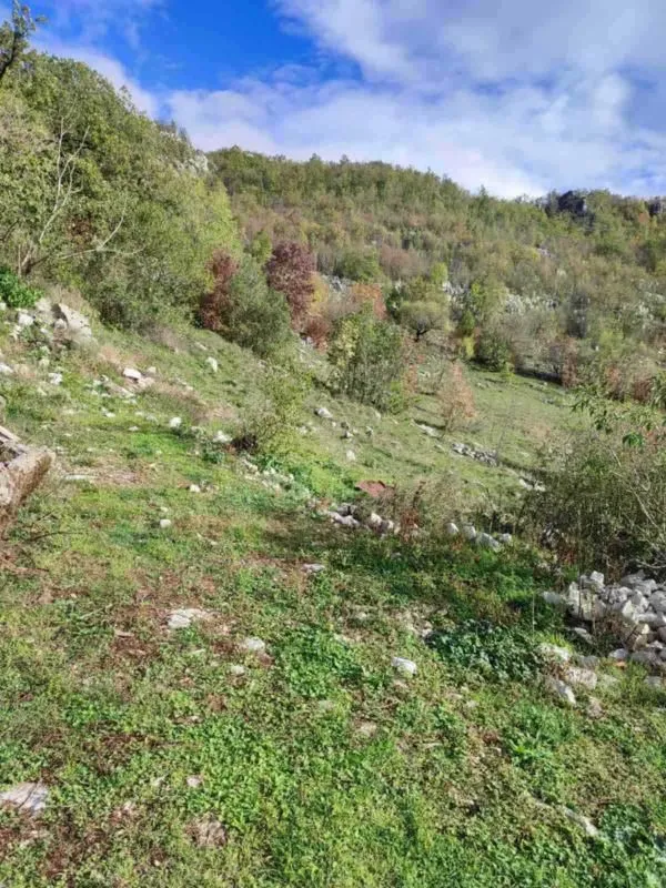 Prodaja, plac, 26000m², Cetinje, Crna Gora