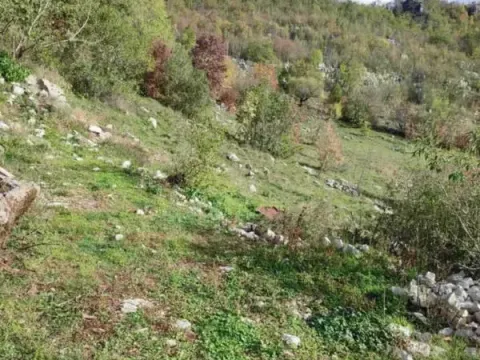 Prodaja, plac, 26000m², Cetinje, Crna Gora - image 4