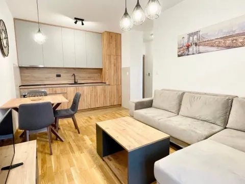 Rent, one bedroom apartment, 39m², Zabjelo, Podgorica - image 2