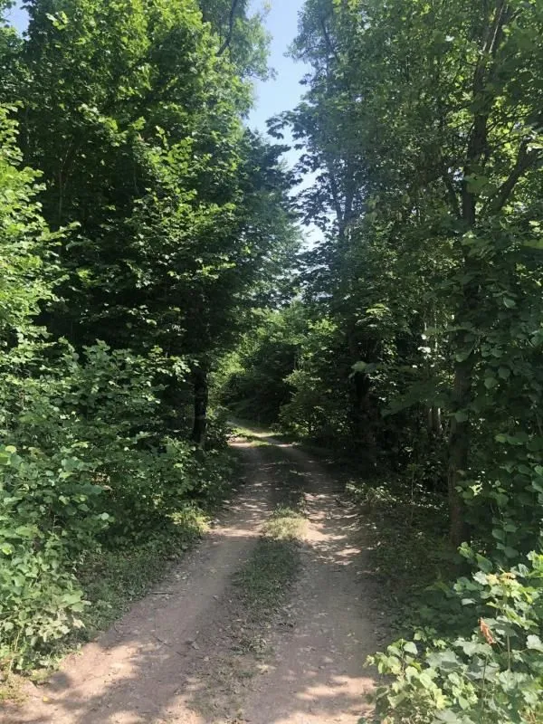 Prodaja, plac, 70000m², Mojkovac, Crna Gora