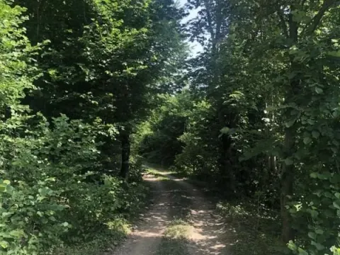 Prodaja, plac, 70000m², Mojkovac, Crna Gora - image 8