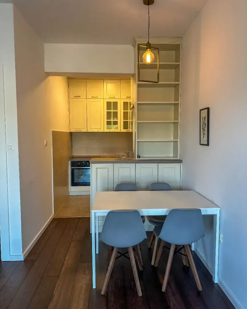 Rent, one bedroom apartment, 48m², Vezirov Most, Podgorica