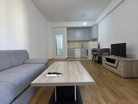 Rent, apartment, 30m², Zabjelo, Podgorica - image 5