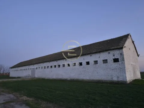 Prodaja, plac, 980m², Vrbas, Novi Sad - image 22