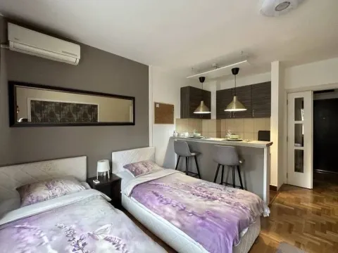 Rent, one bedroom apartment, 25m², Vračar Sve Podlokacije, Beograd - image 2