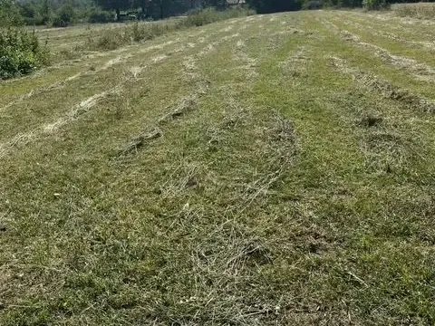 Prodaja, plac, 5554m², Jastreb, Danilovgrad - image 3