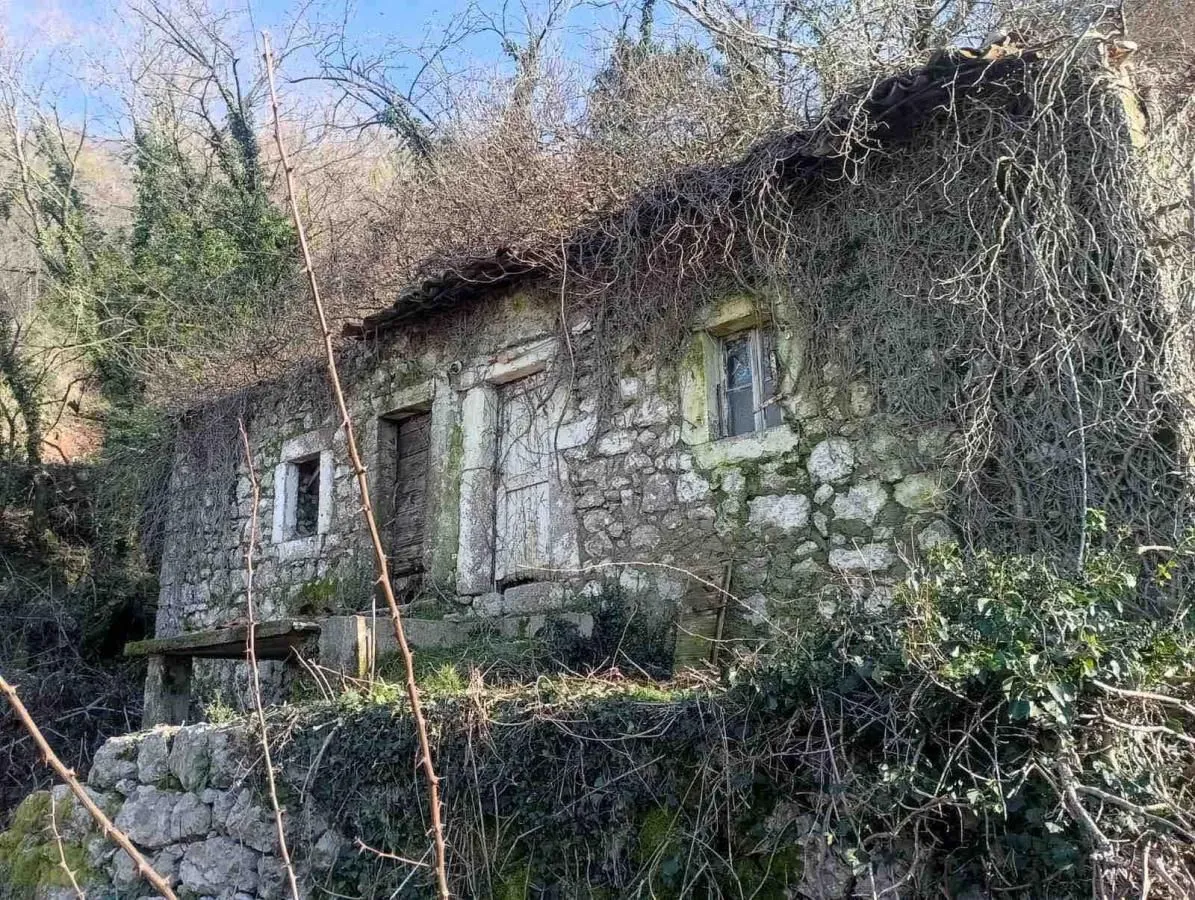 Prodaja, plac, 15400m², Bar, Crna Gora