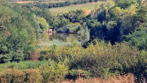 Prodaja, kuća, 120m², Tulari, Ub - image 6