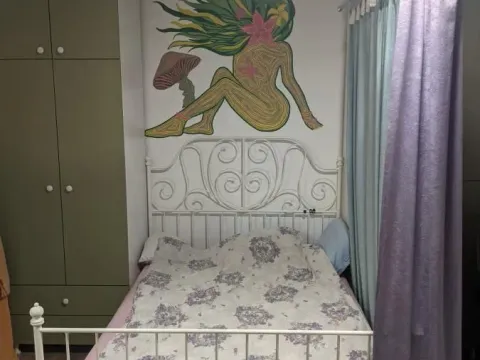 Prodaja, garsonjera, 27m², Veternik, Novi Sad Sve Podlokacije - image 3