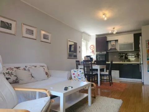 Rent, one bedroom apartment, 45m², Zagorič, Podgorica - image 2