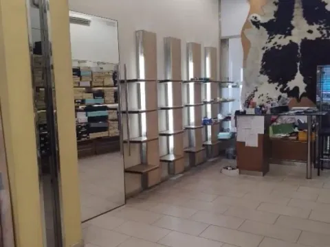 Izdavanje, poslovni prostor, 170m², Botanička Bašta, Palilula Sve Podlokacije - image 4