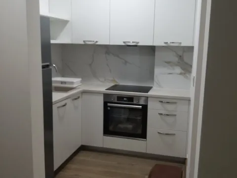 Rent, one bedroom apartment, 38m², Budva okolina, Budva - image 2