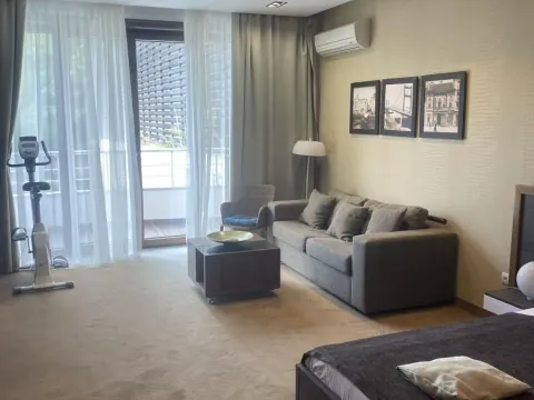 Izdavanje, jednosoban stan, 55m², Savski Venac, Beograd - image 3