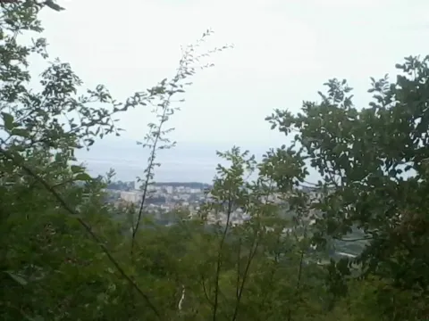 Prodaja, plac, 20752m², Župci, Bar - image 2