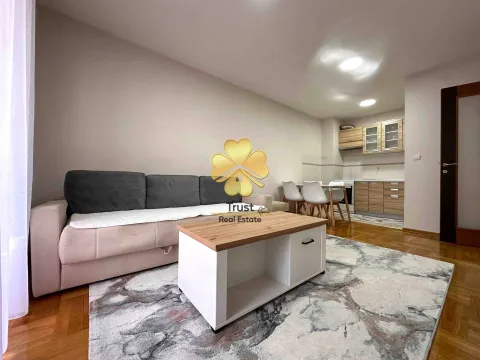 Izdavanje, jednosoban stan, 45m², Stari Aerodrom, Podgorica - image 2