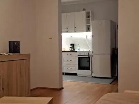 Izdavanje, dvosoban stan, 45m², Grbavica, Novi Sad Sve Podlokacije - image 4