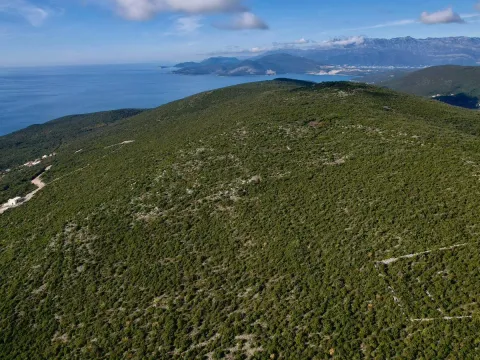 Sale, land lot, 1500m², Zagora, Kotor - image 10