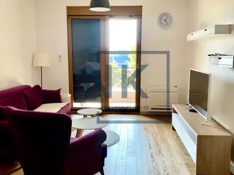 Izdavanje, jednosoban stan, 52m², Centar, Podgorica - image 4