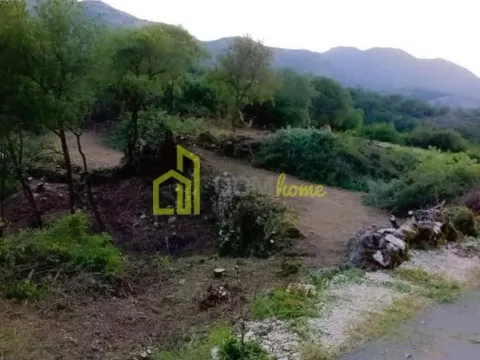 Sale, land lot, 2004m², Cetinje, Crna Gora - image 6