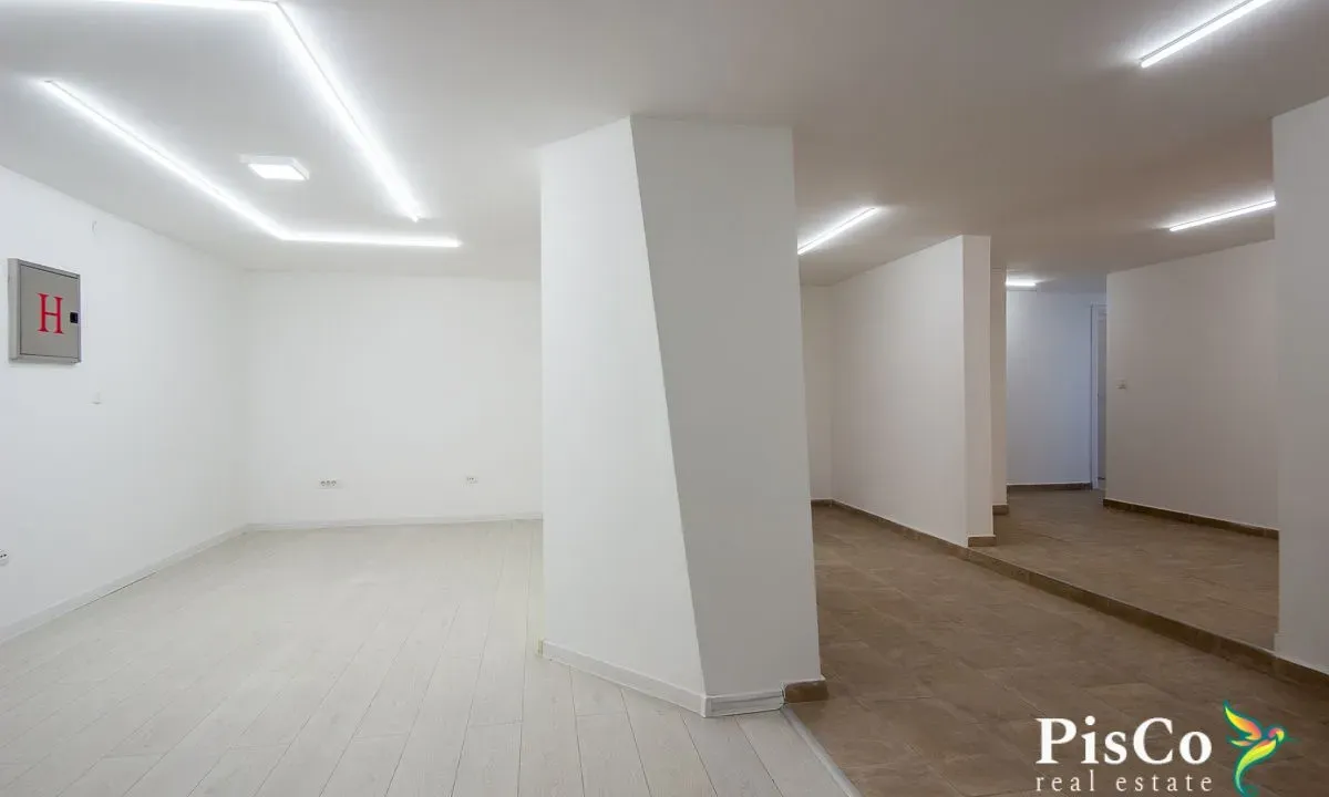 Izdavanje, poslovni prostor, 294m², Podgorica, Crna Gora