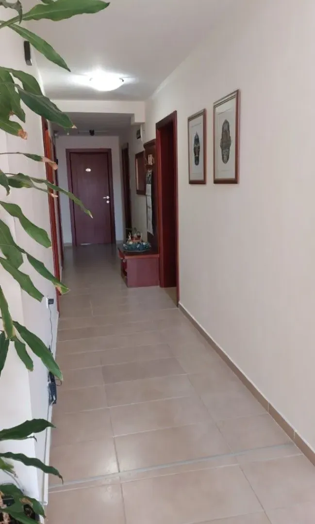 Izdavanje, garsonjera, 24m², Dubovica, Budva