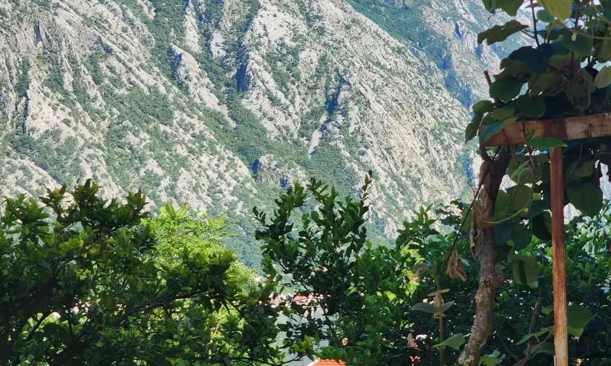 Prodaja, plac, 503m², Kotor, Crna Gora