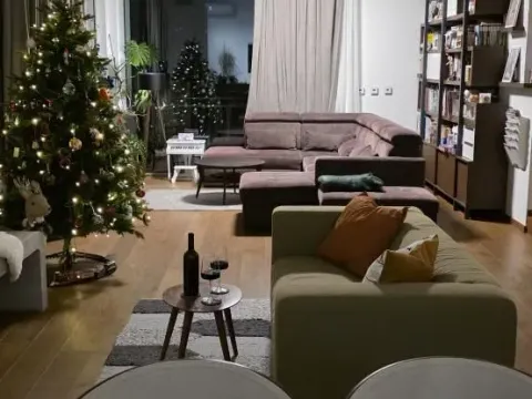 Prodaja, kuća, 337m², Sremska Kamenica, Petrovaradin - image 17