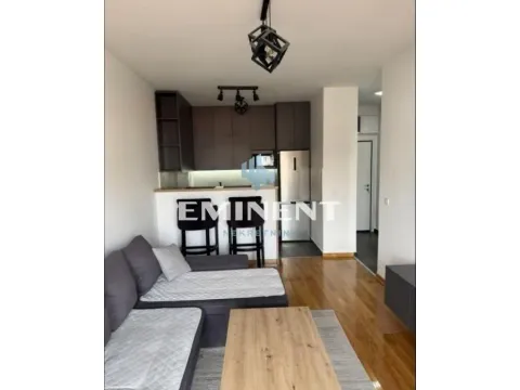 Izdavanje, stan, 43m², Vračar Sve Podlokacije, Beograd - image 4