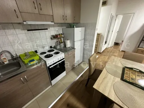 Izdavanje, dvosoban stan, 48m², Voždovac Sve Podlokacije, Beograd - image 4